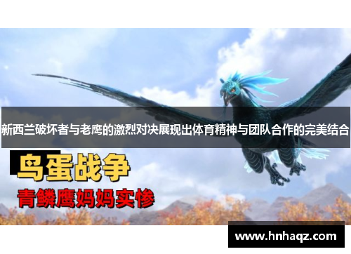 新西兰破坏者与老鹰的激烈对决展现出体育精神与团队合作的完美结合